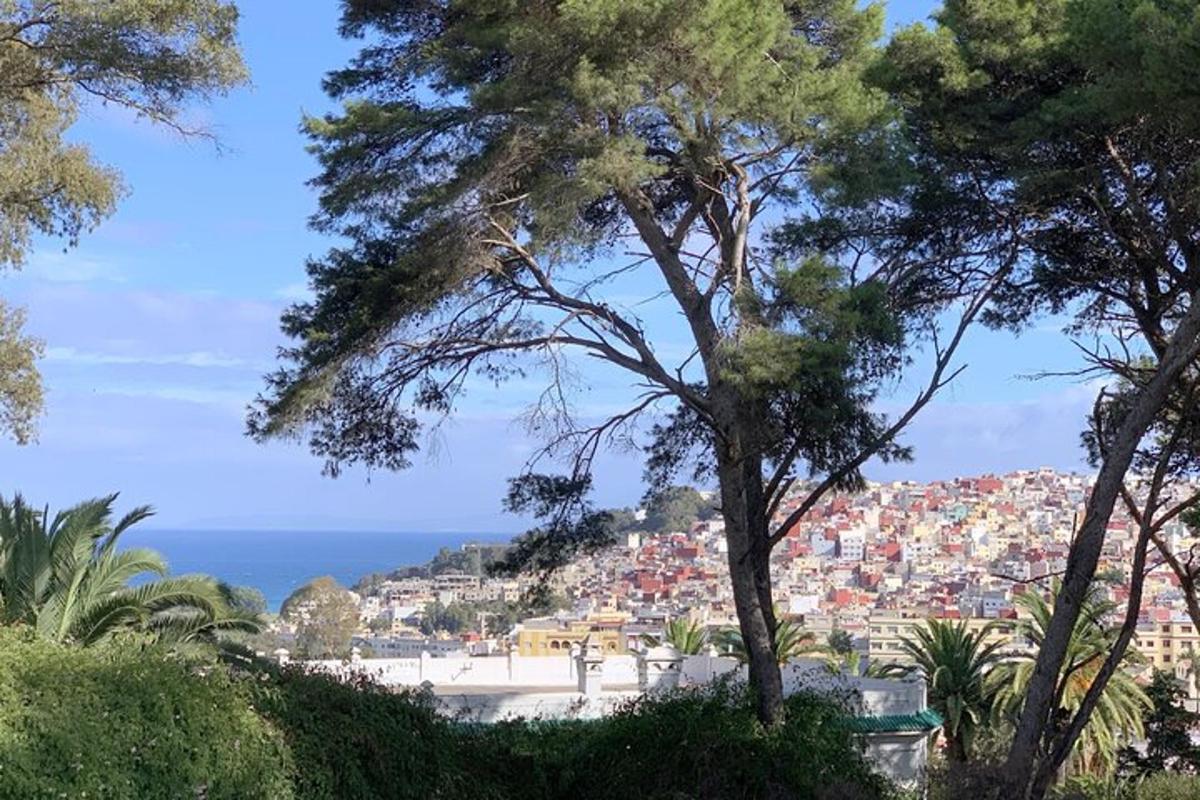 una vista di una città da dietro alcuni alberi