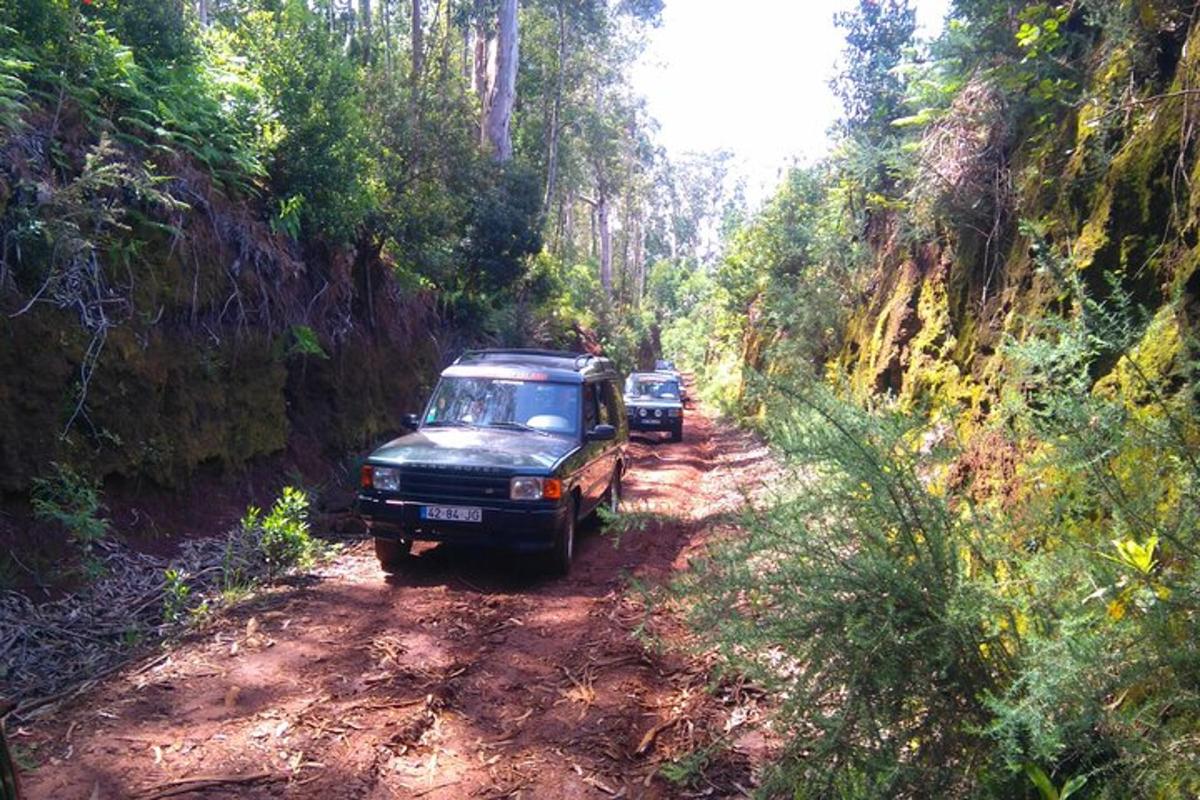 dos camions aparcats en un camí de terra en un bosc