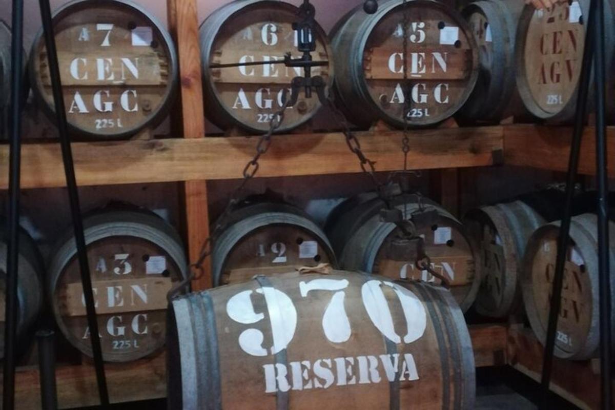 un grapat de bótes de vi en un celler