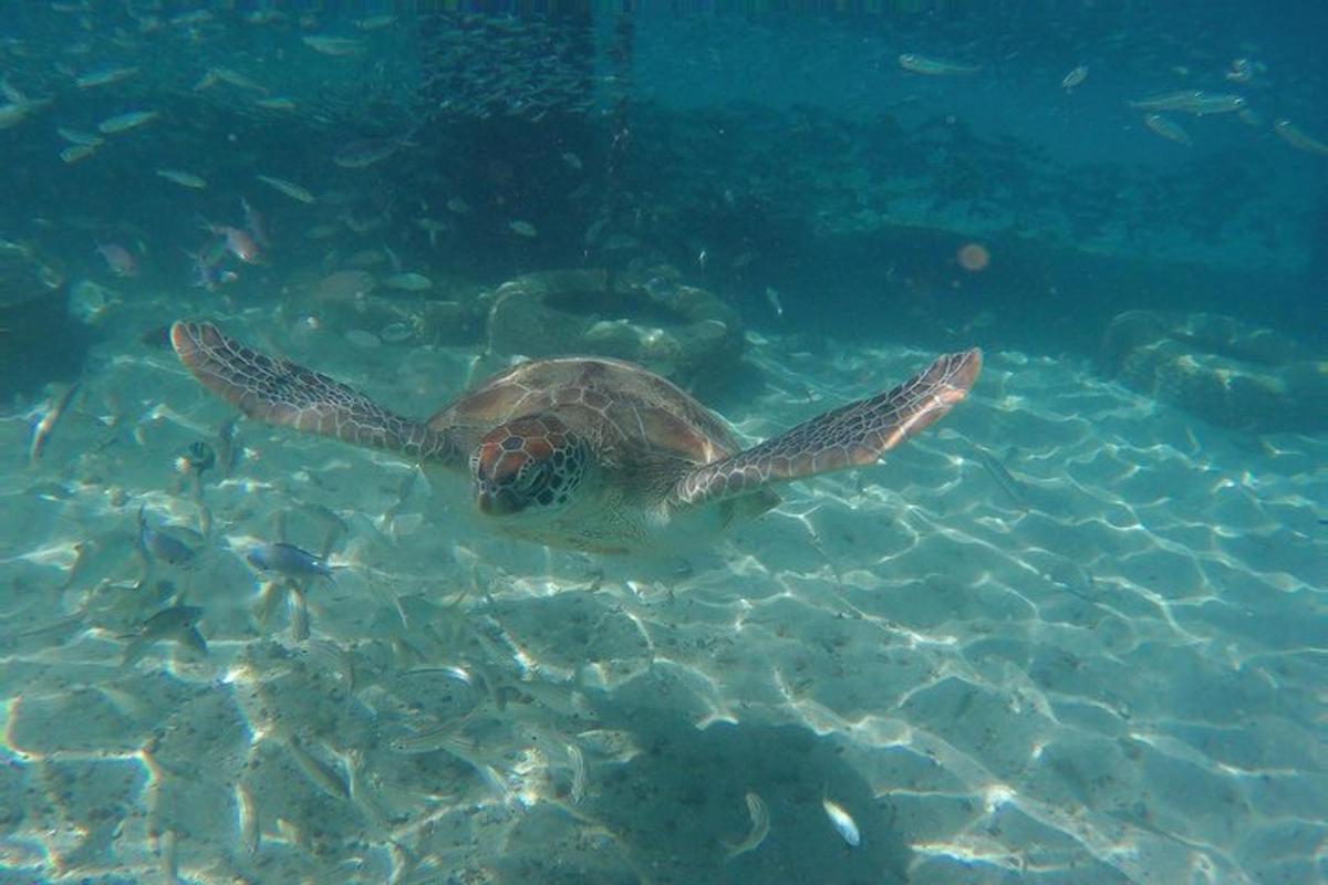 Lankytinos vietos ar pramogos nuotrauka numeris 7