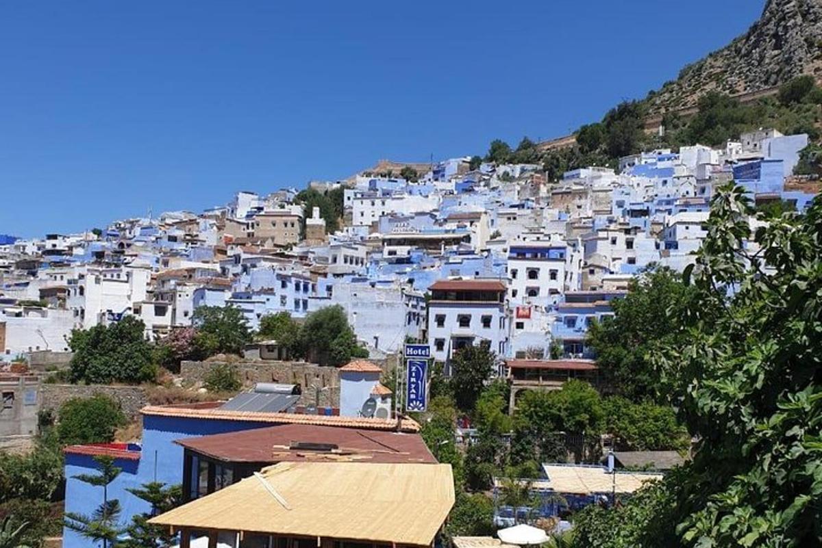 una città con edifici blu e bianchi su una collina