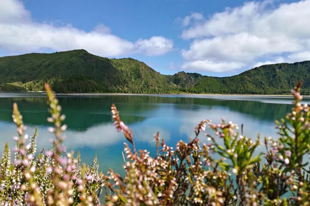 Una vista de un lago con montañas al fondo.