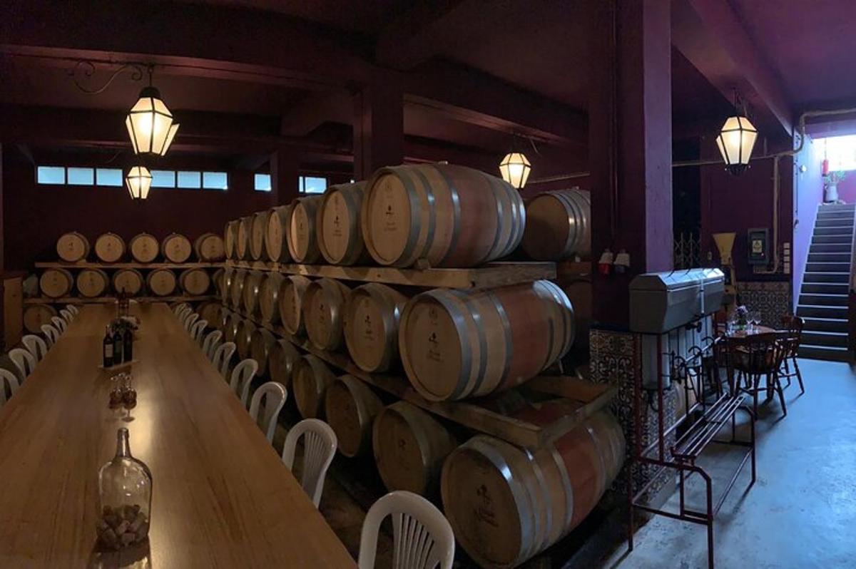 una fila di botti di vino in una stanza con sedie