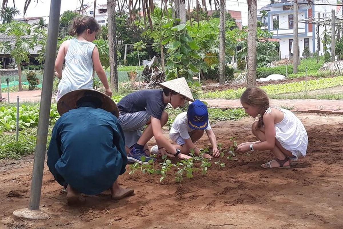 một nhóm người đang trồng cây trên đất