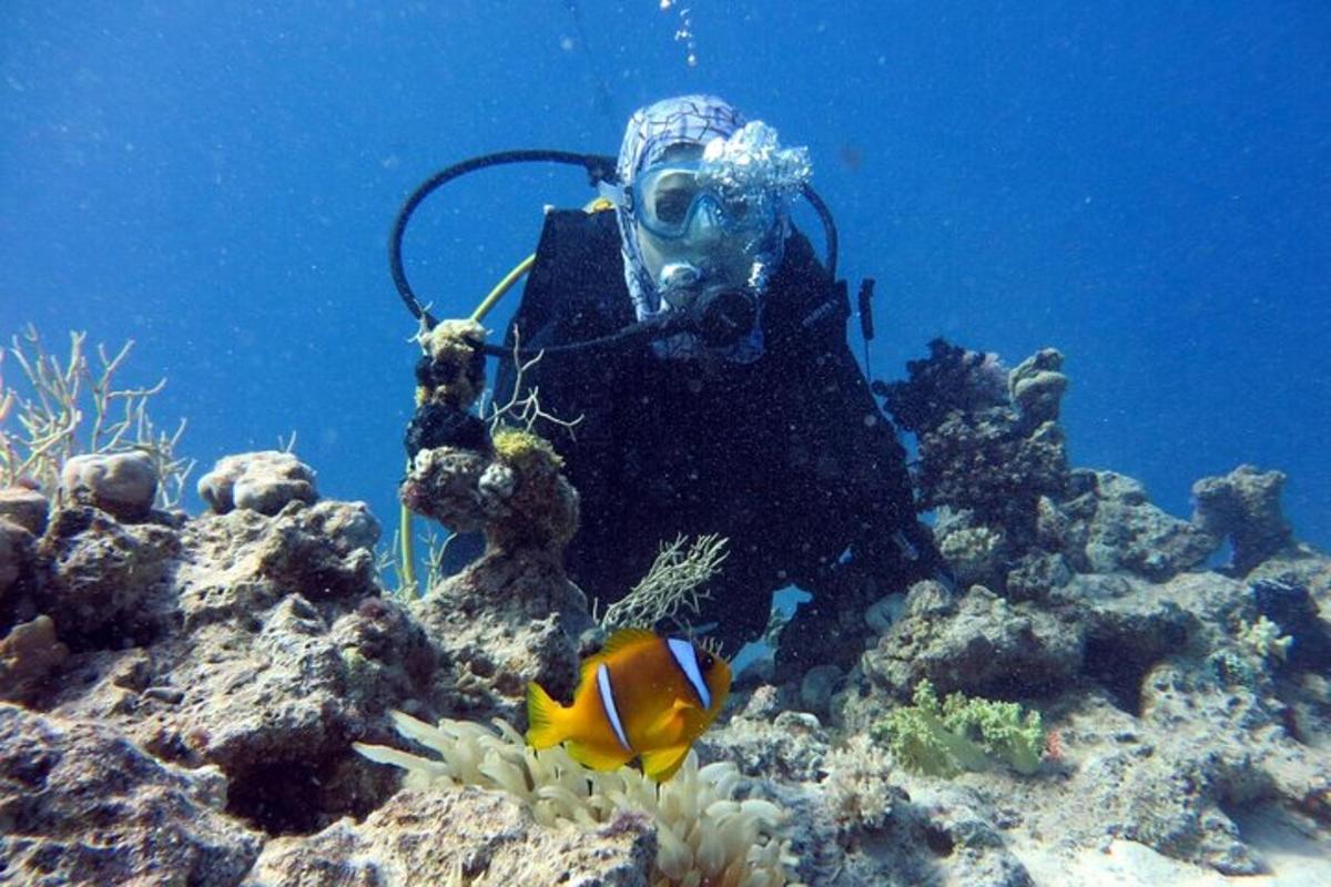 サンゴ礁の海にいるダイバー
