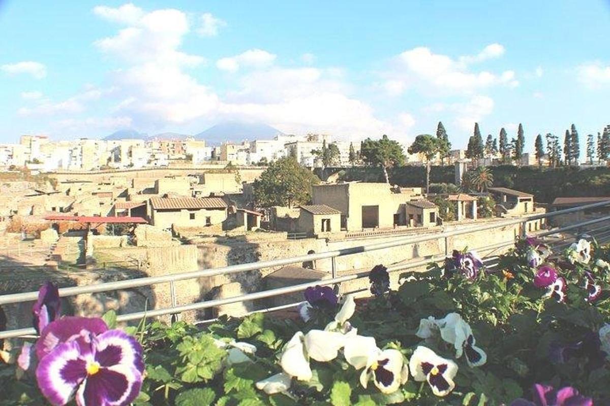 ön planda çiçeklerin olduğu bir kasabanın görünümü