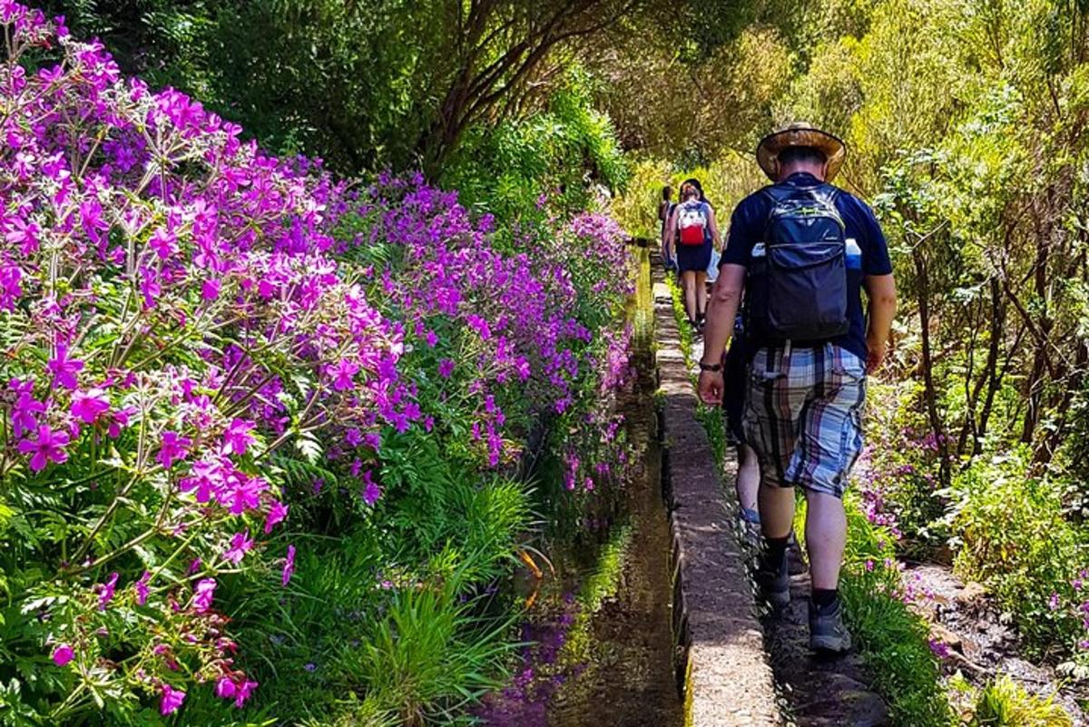 duas pessoas caminhando por um caminho entre flores