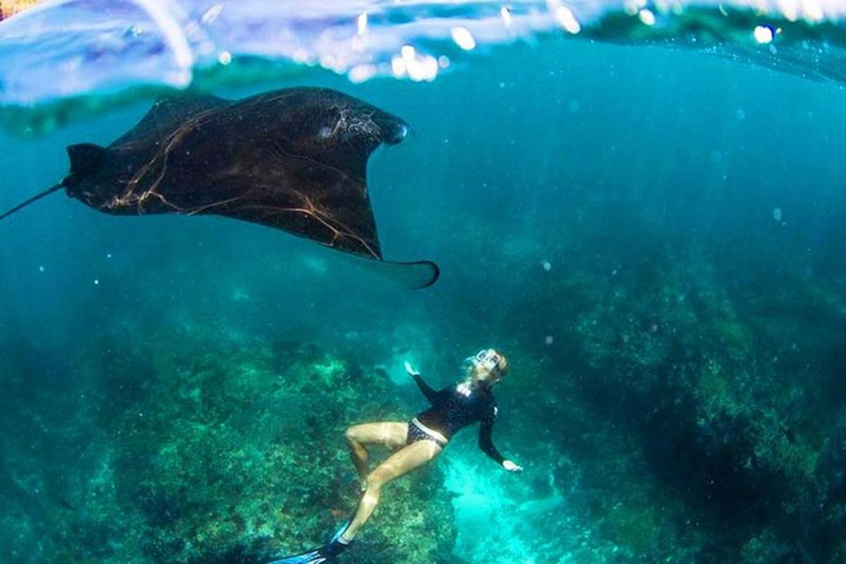 žena plave v oceánu vedle rejnoka