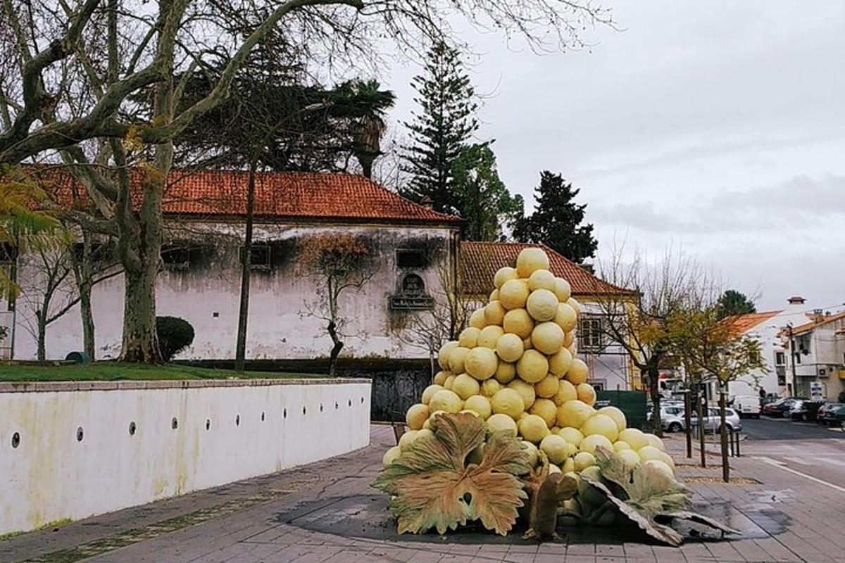hromada ovoce ležící na kraji ulice