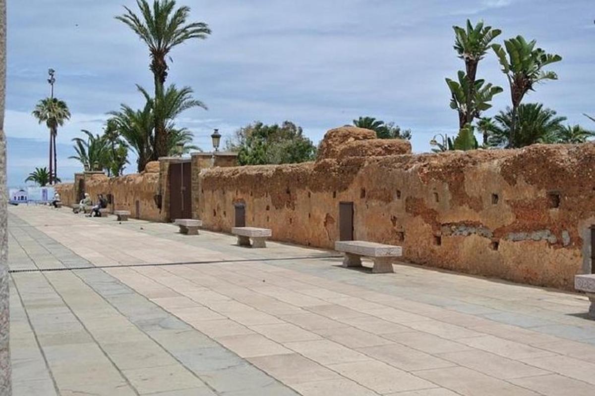 una fila di panchine accanto a un muro con palme