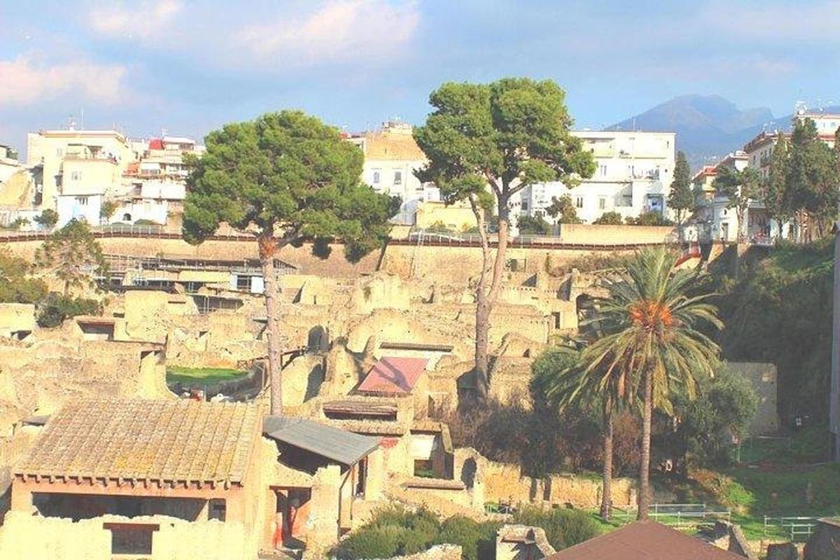 建物とヤシの木のある町の景色