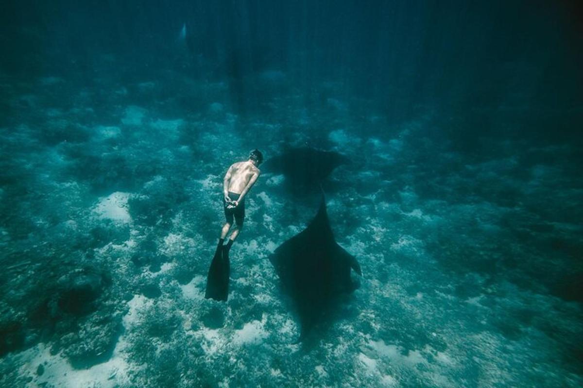 Fotografia da atração 1