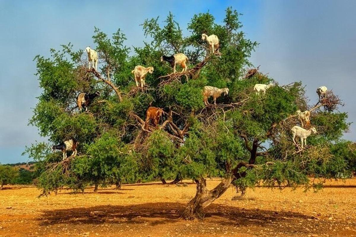 Turistik nokta fotoğrafı 1