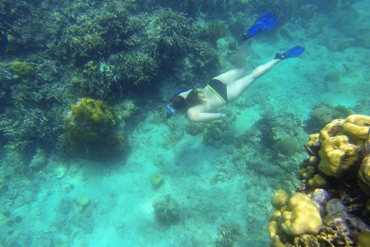 člověk plave ve vodě v oceánu
