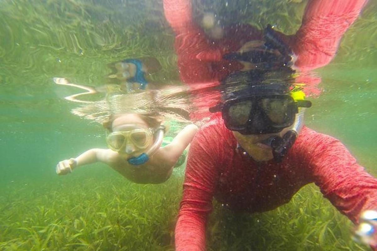 un gruppo di persone che nuotano nell'acqua