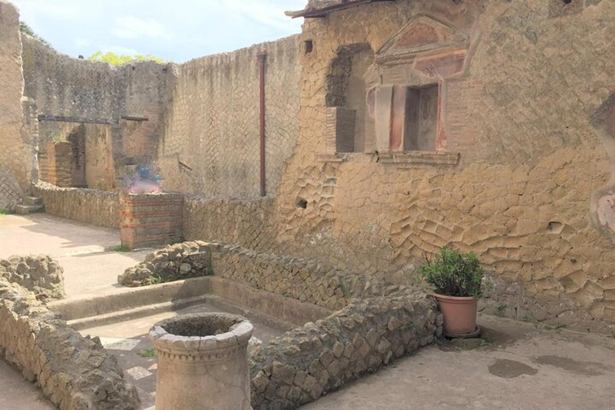 Un edificio de piedra con una planta en maceta delante.