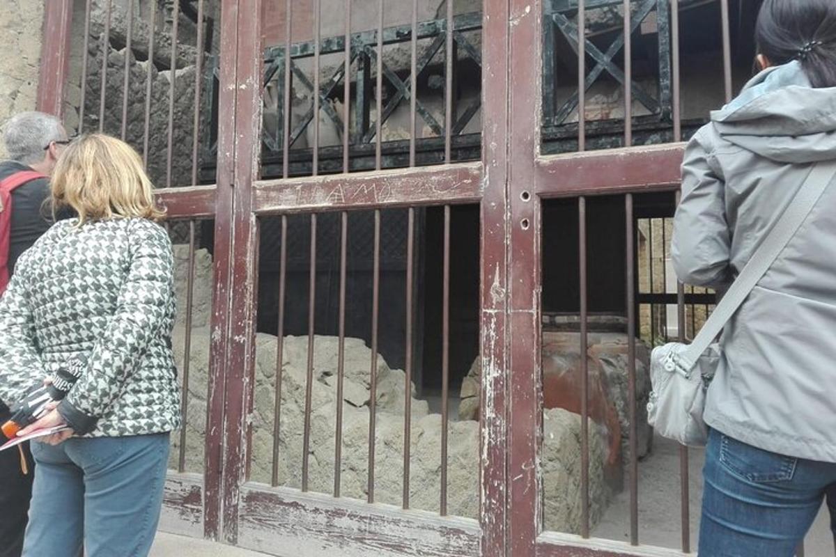 un gruppo di persone che guarda un orso in gabbia