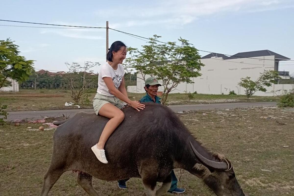 một người phụ nữ cưỡi trên lưng một con bò