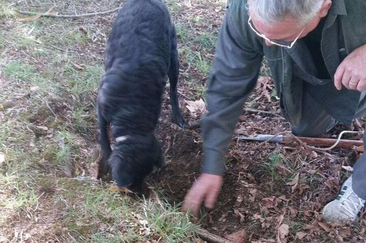 un uomo sta accarezzando un cane nero nell'erba