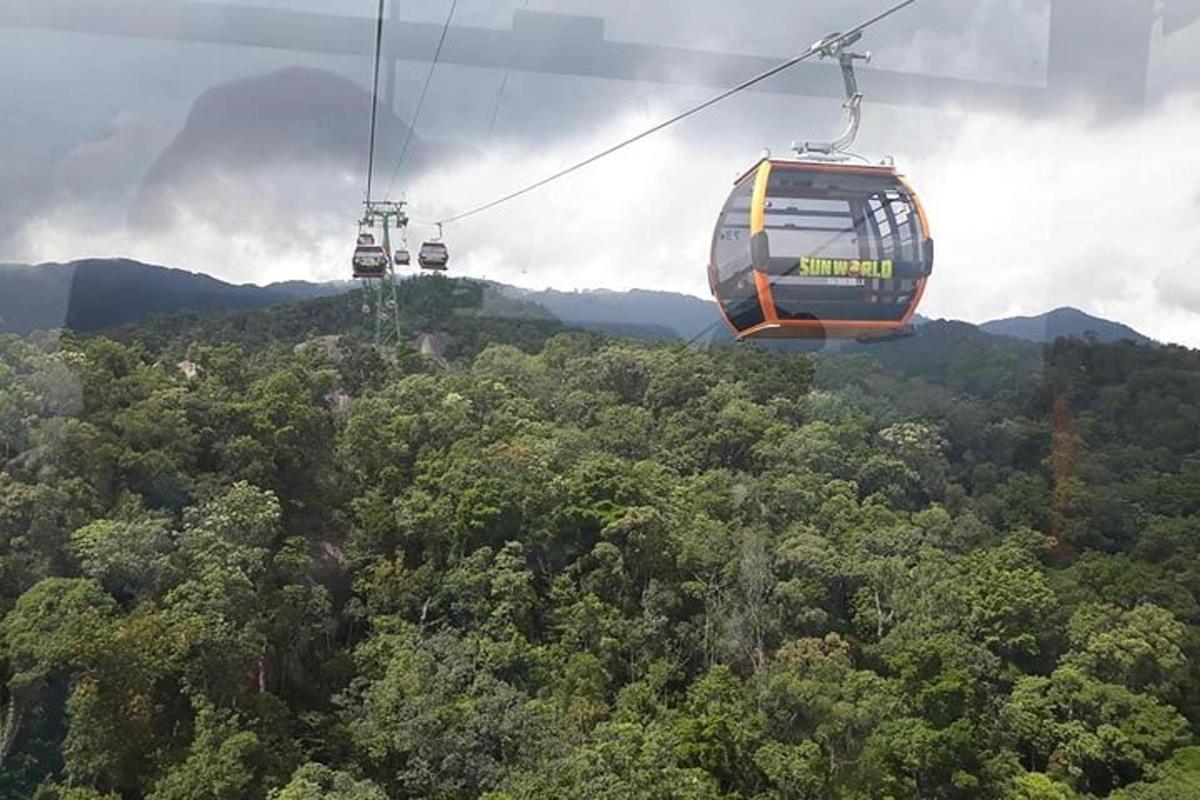 dua gondola terbang di atas hutan hijau yang subur
