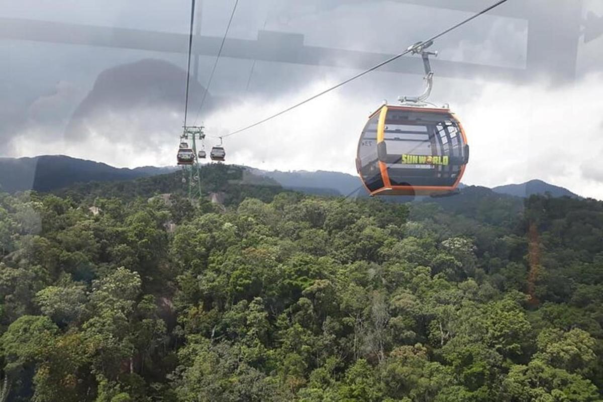 hai chiếc thuyền gondola bay qua một khu rừng cây
