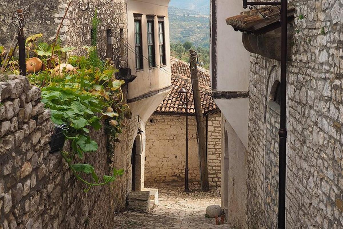 Un callejón con edificios y plantas a los lados.