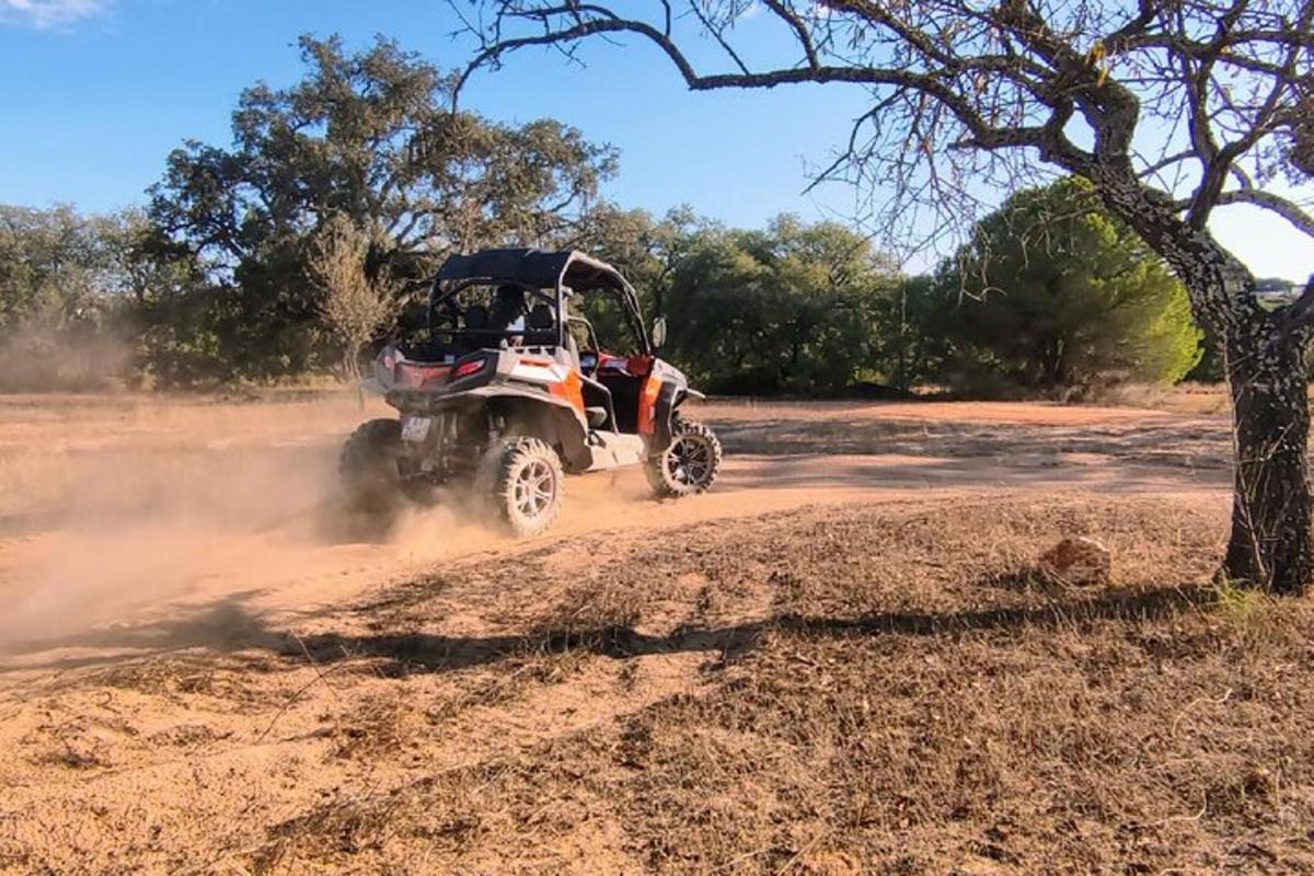 una persona che guida un quad su una strada sterrata