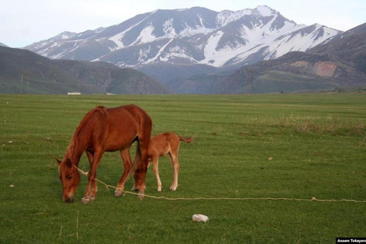 Fotografie atrakce č. 2