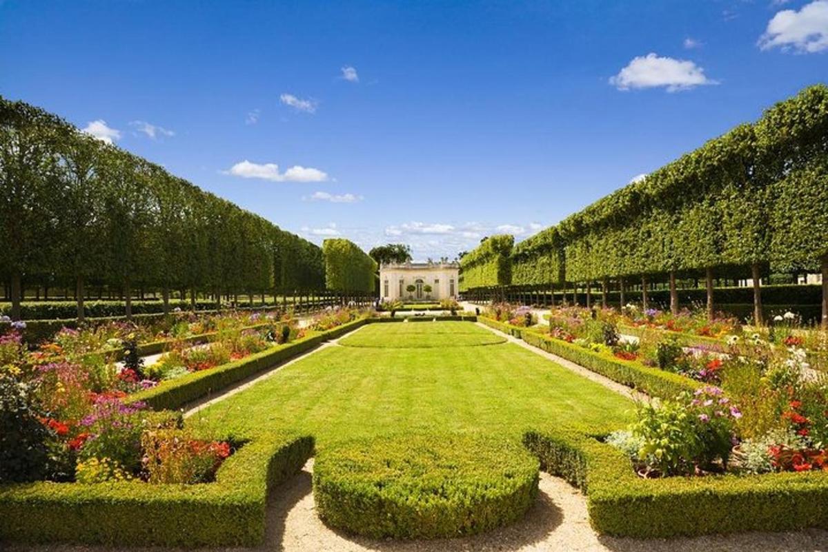 a long row of hedges and flowers in a garden