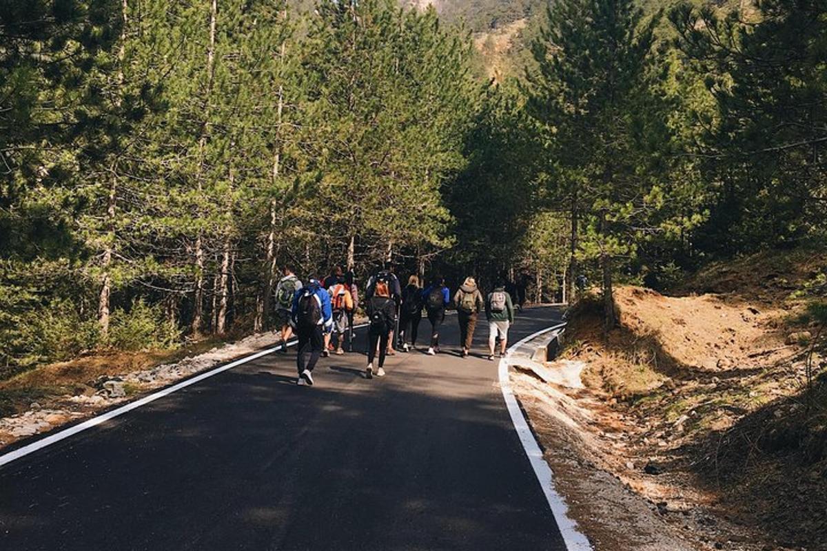 grupp inimesi, kes kõnnivad mööda teed