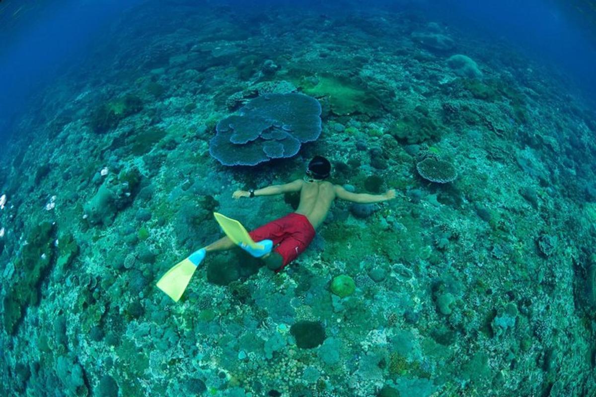 um homem está nadando no oceano com uma prancha de surfe