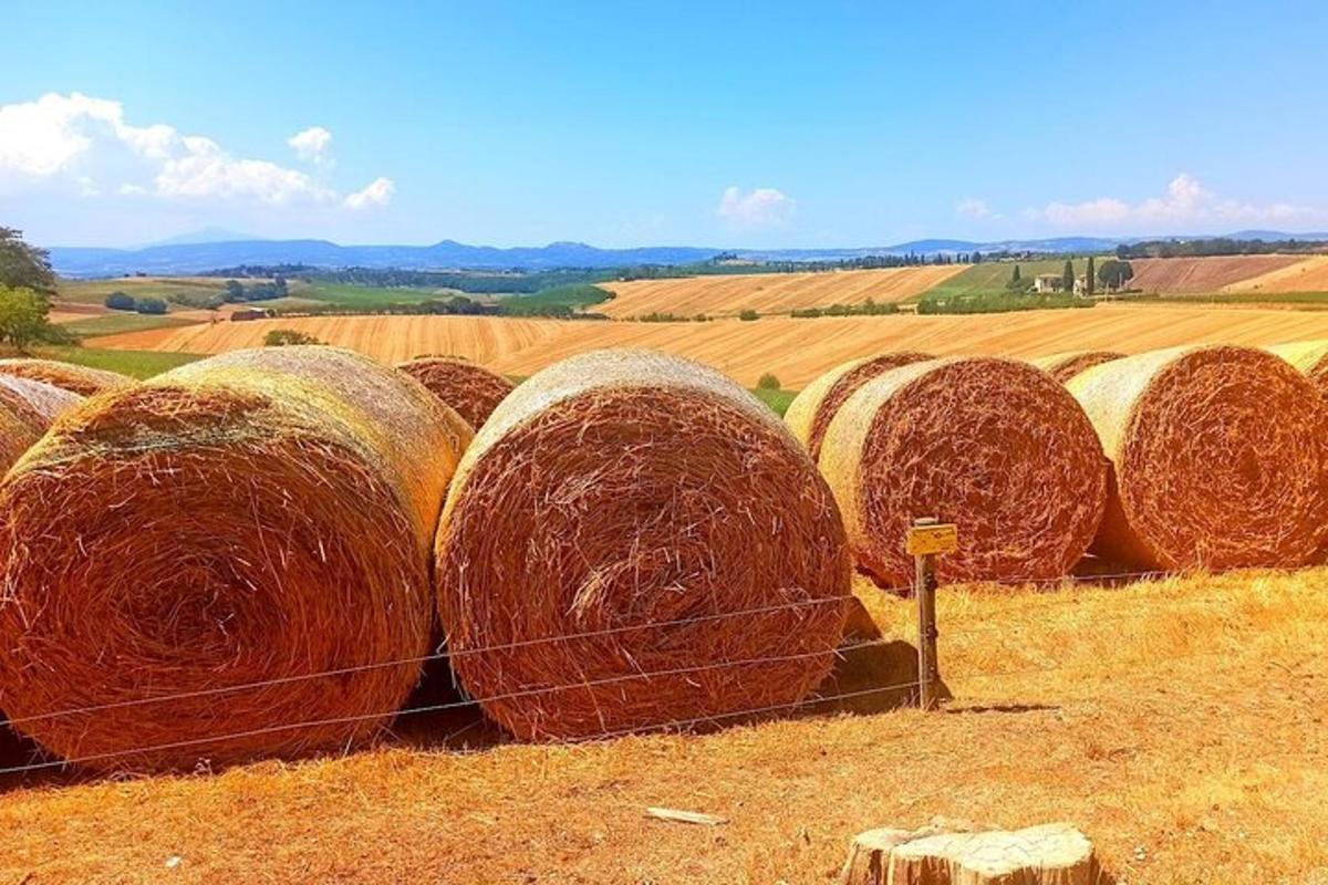 um monte de fardos de feno em um campo