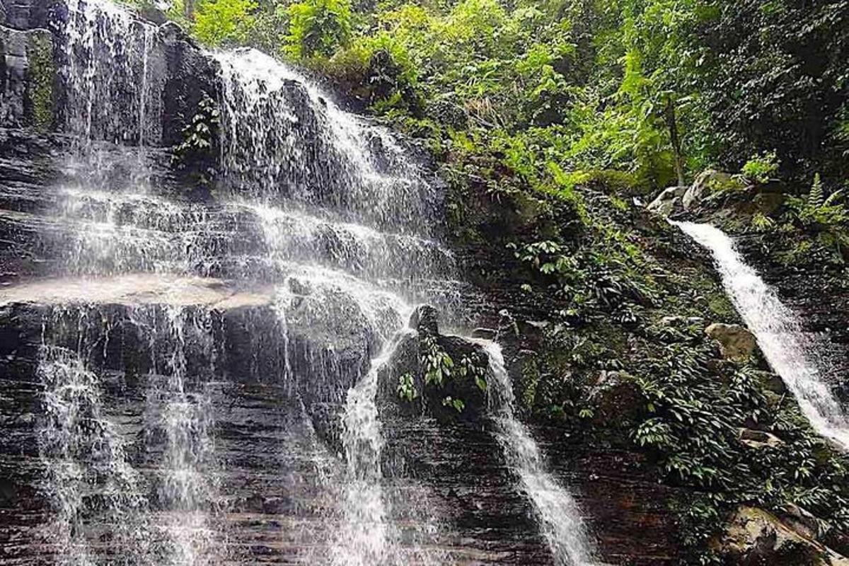 a waterfall on the side of a hill with trees