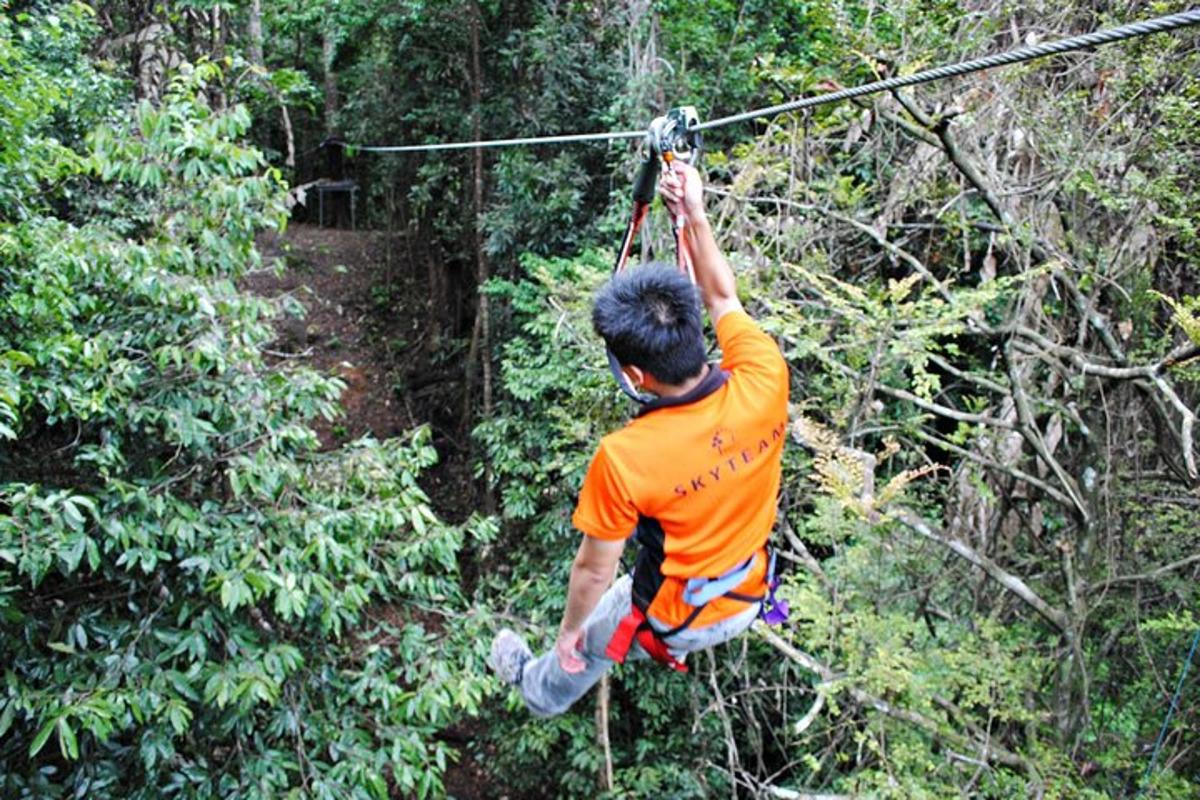 un hombre en una tirolina en el bosque