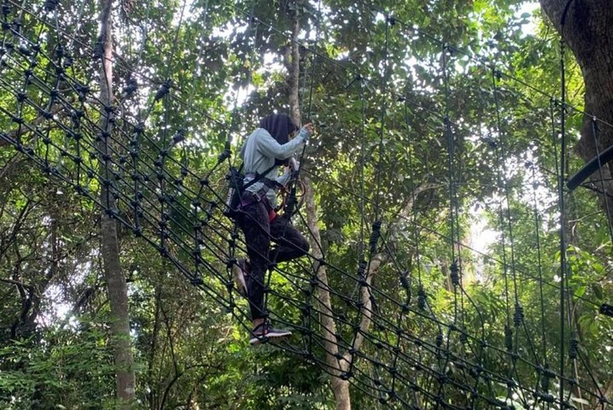 isang tao sa isang zip line sa kagubatan