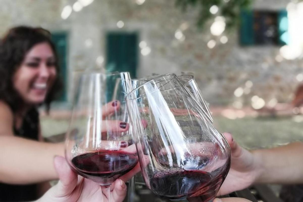 due persone che tengono in mano due bicchieri di vino rosso