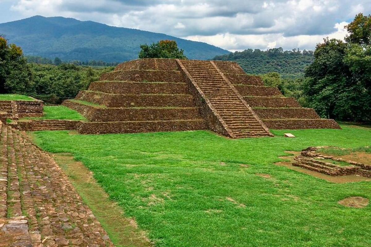 a group of steps in a field with green grass