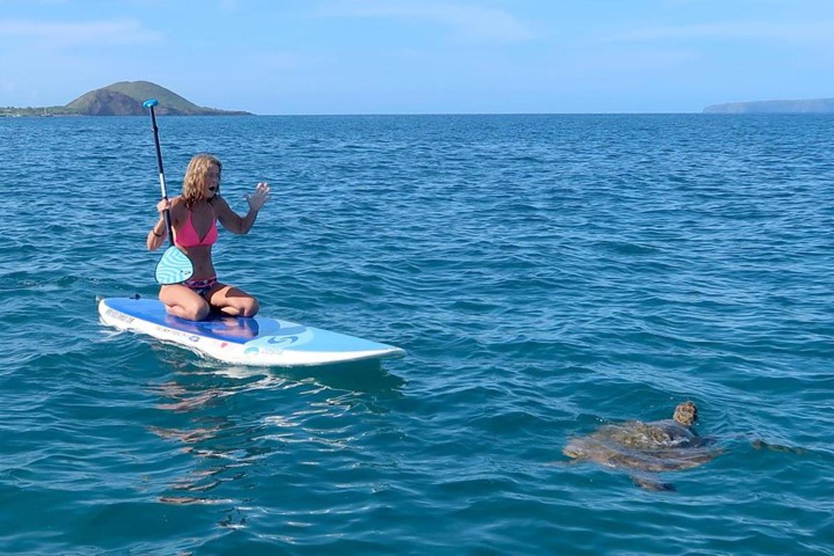 žena na paddleboardu ve vodě s želvou