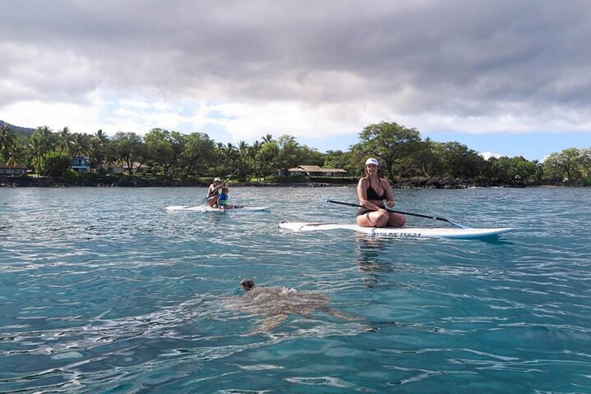 Dos personas y un perro en el agua en tablas de paddle surf