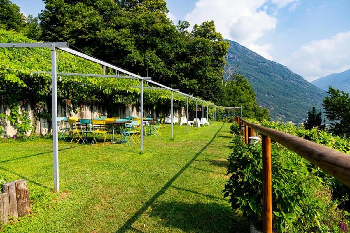 a greenhouse with tables and chairs in a field