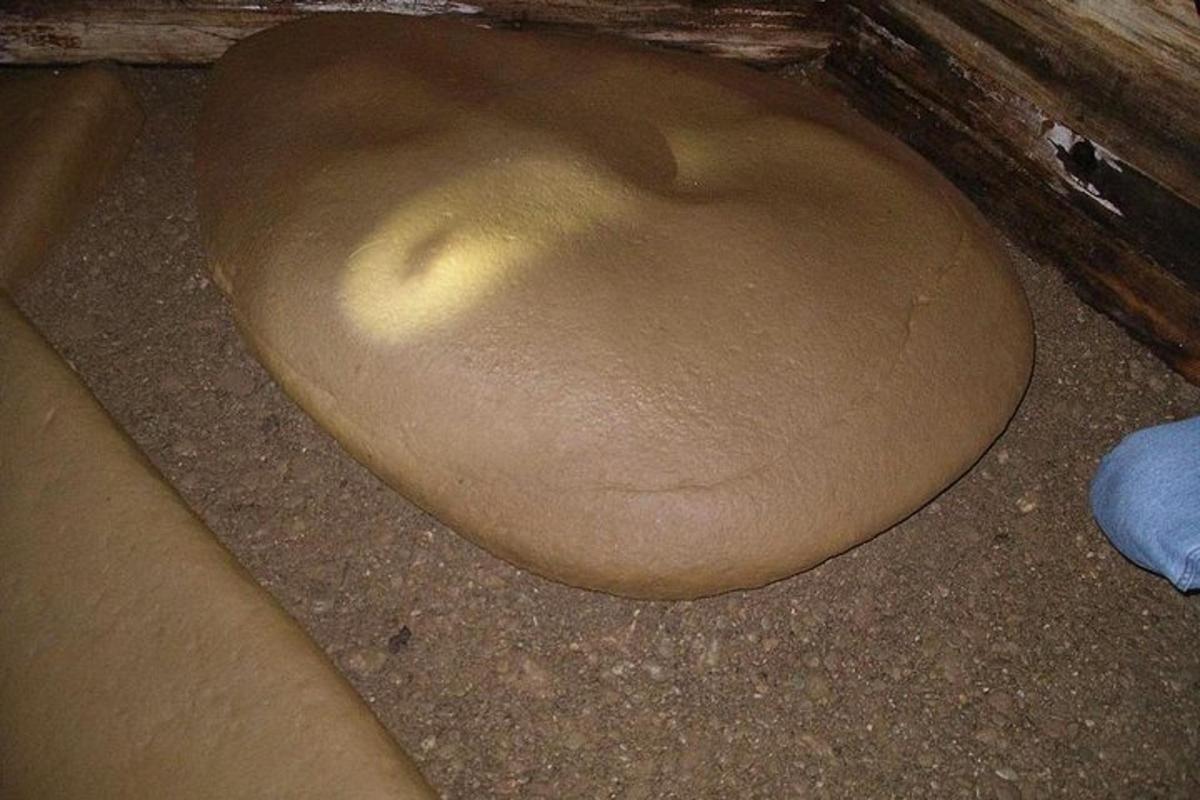 地面に置かれた茶色の便座