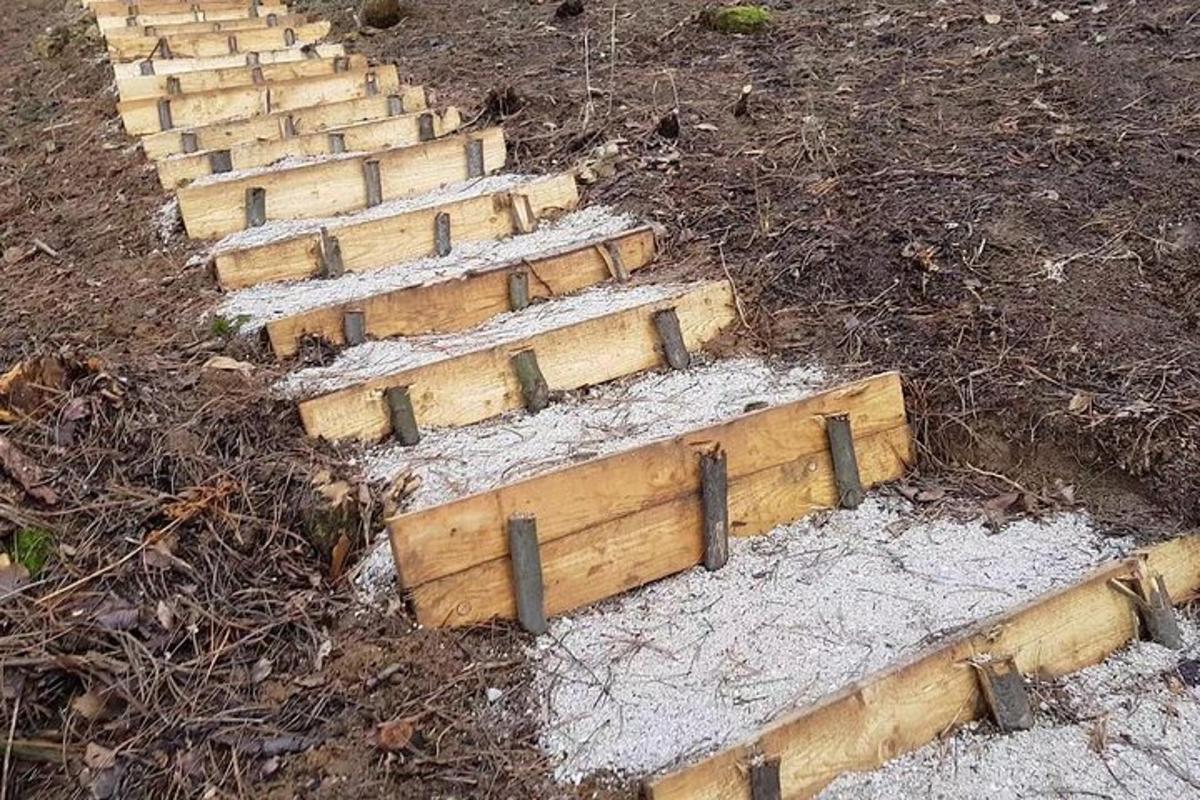 un set de trepte de lemn în pământ