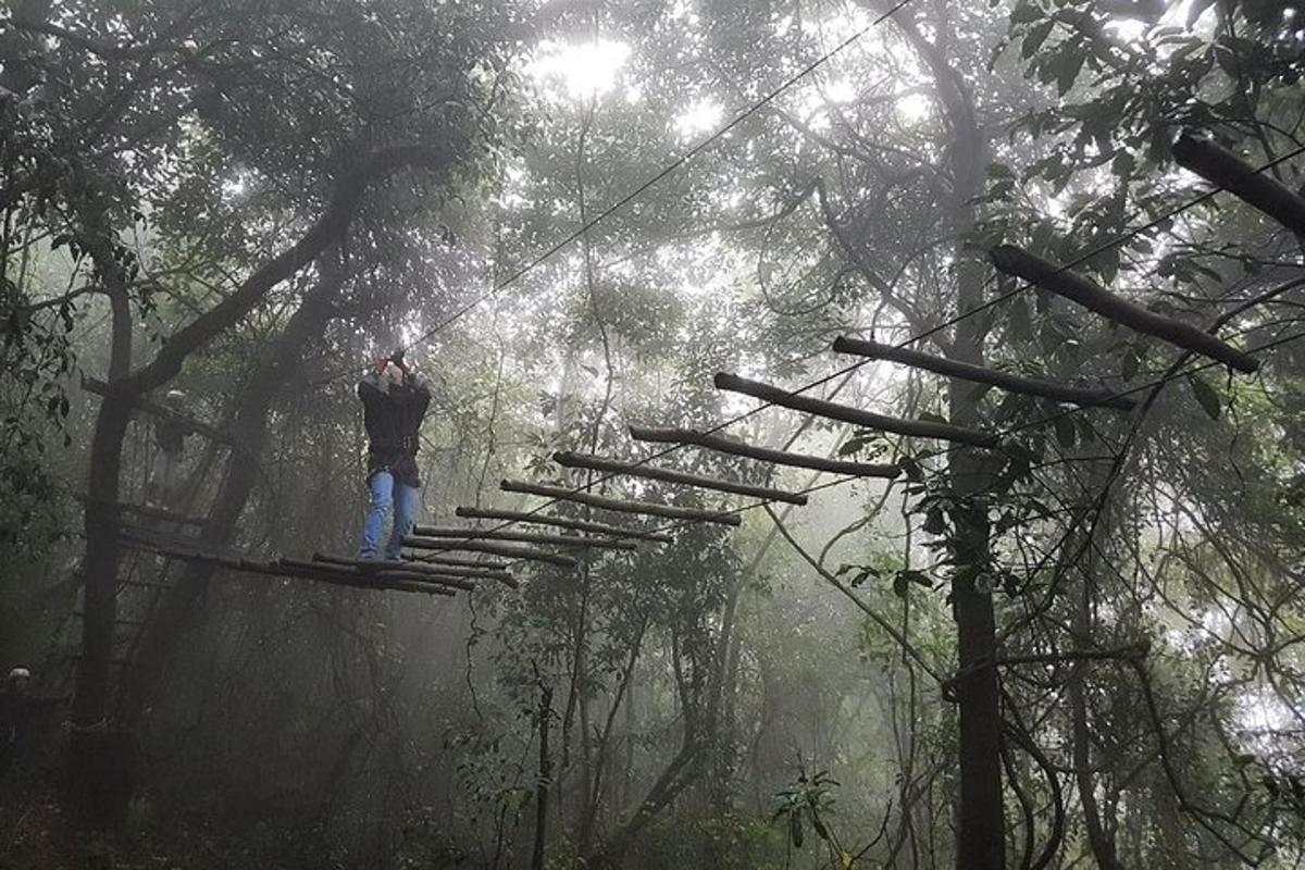 Fotografia da atração 7