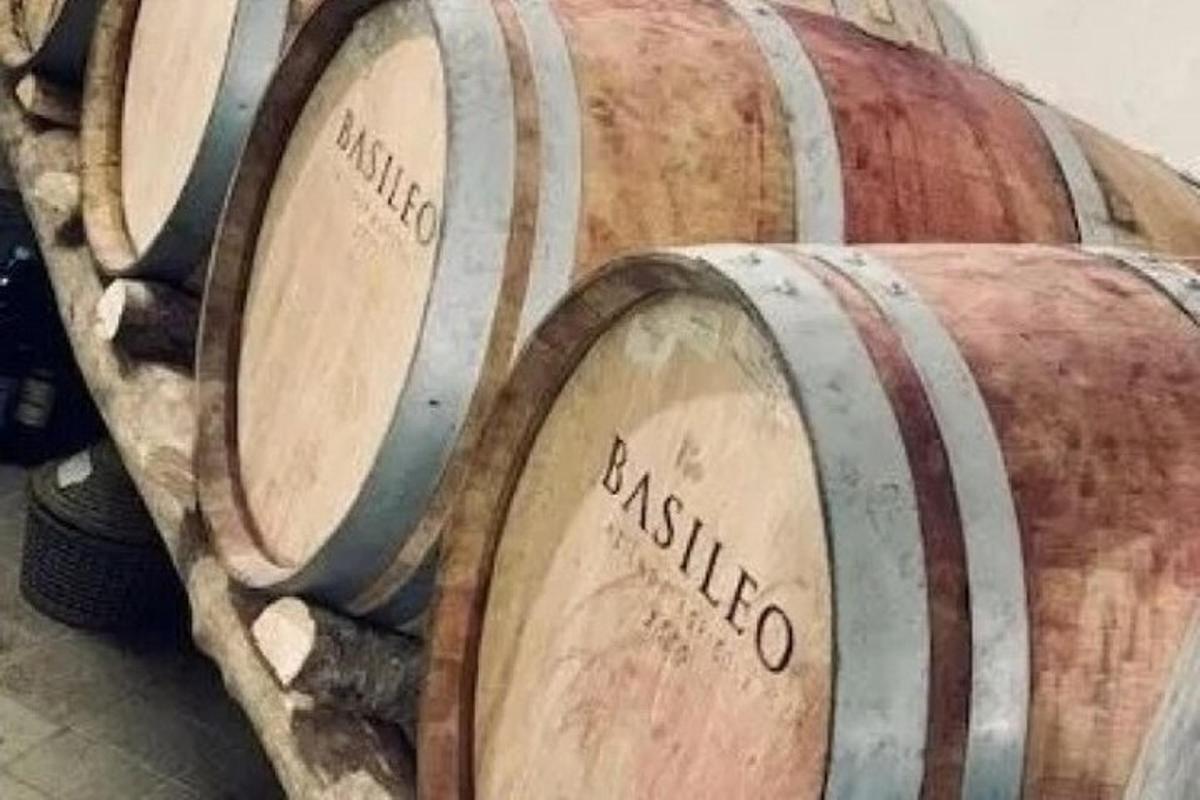 a group of wine barrels sitting next to each other
