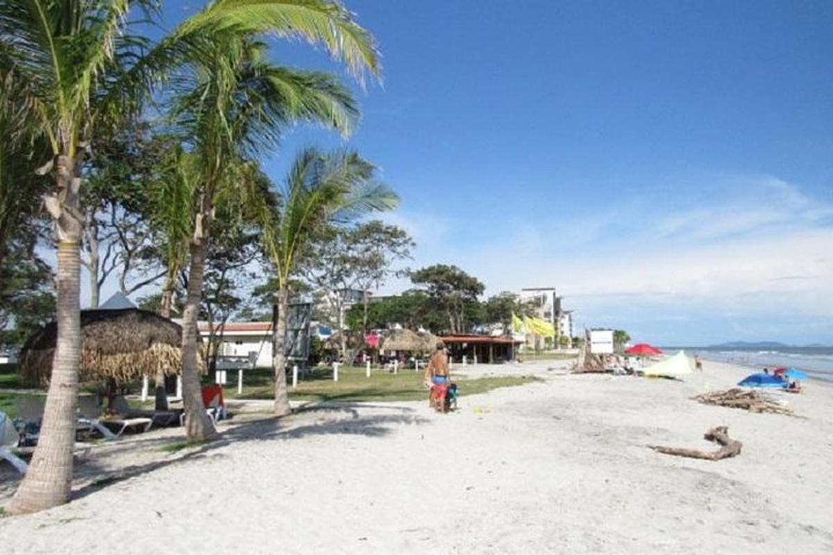 una spiaggia con palme e una persona che cammina sulla sabbia