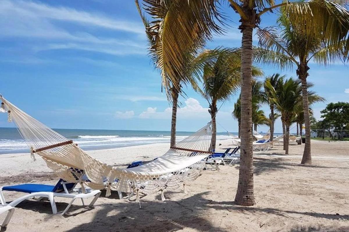 un'amaca su una spiaggia con palme e l'oceano
