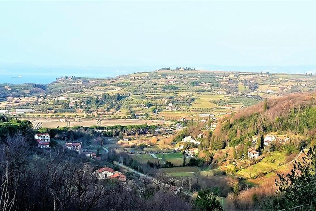 a view of a small town on a hill