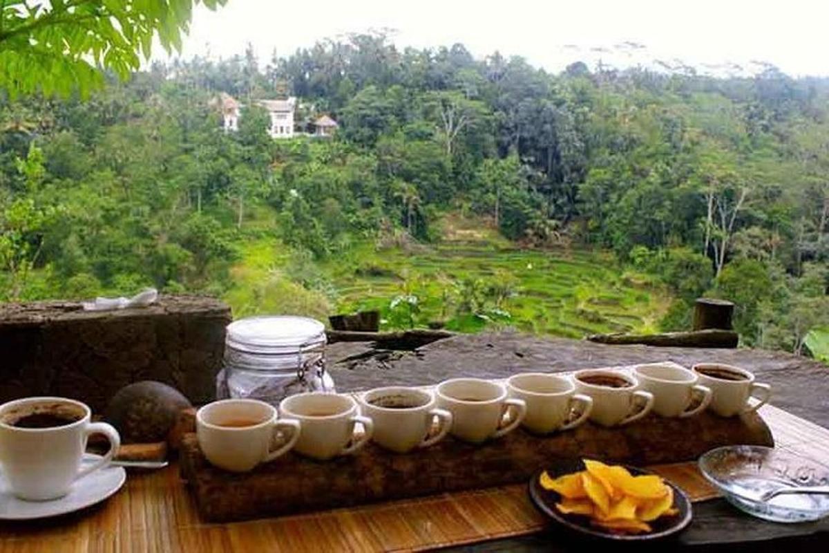 un vassoio di tazze da caffè su un tavolo con vista