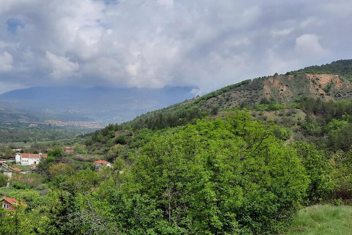 uma vista de uma montanha com árvores e casas
