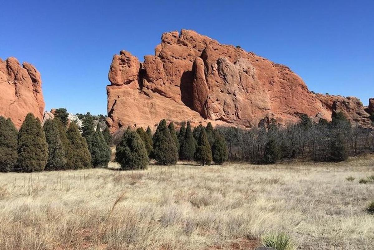 un campo con alberi di fronte a una formazione rocciosa